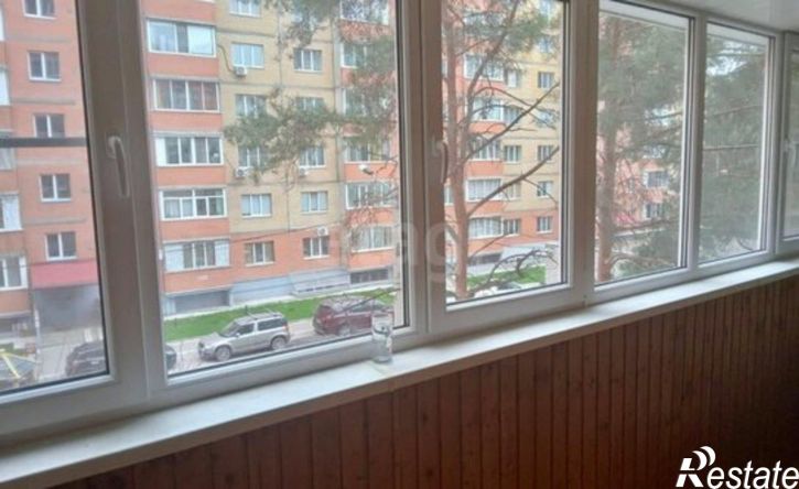 1-комн квартира улица Владимира Невского, 19,  д. 19