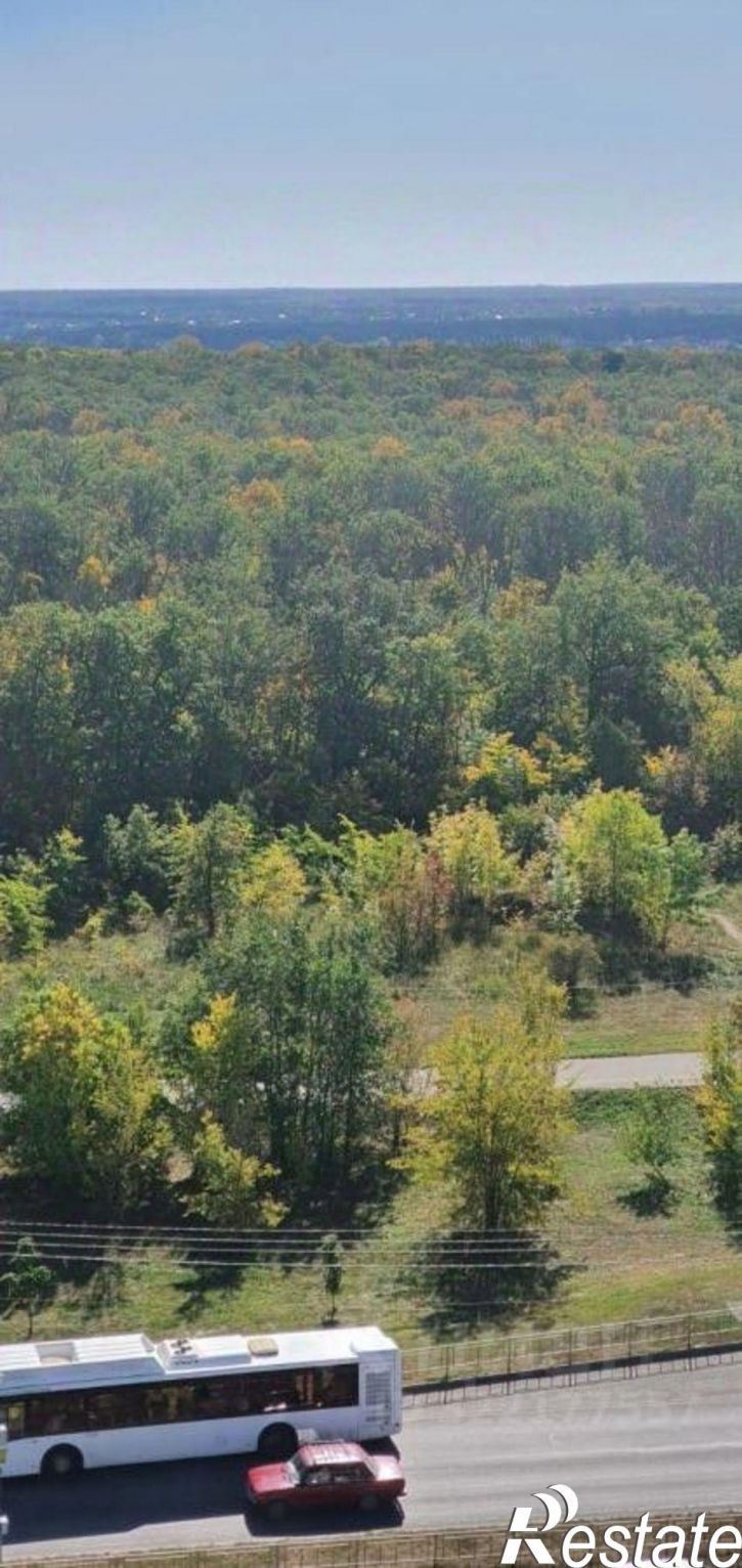 2-комн квартира Острогожская улица, 170/3,  д. 170/3