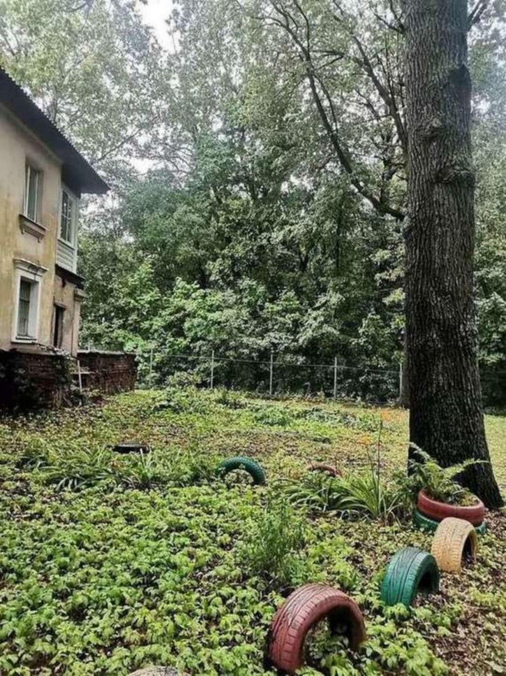 3-комн квартира Дарвина улица, 1