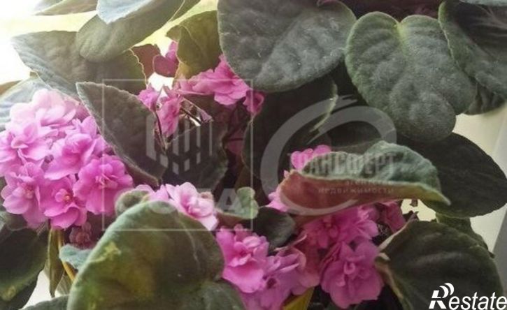 2-комн квартира улица Космонавта Комарова, 16,  д. 16