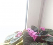 2-комн, 53кв м, этаж 4/9 улица Космонавта Комарова, 16