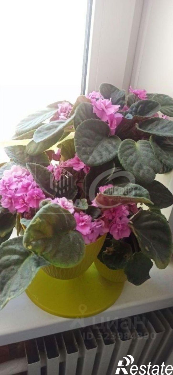 2-комн квартира улица Космонавта Комарова, 16,  д. 16