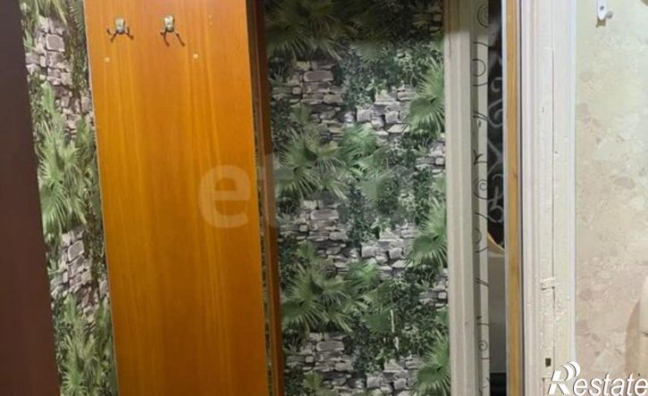 1-комн квартира улица Юлюса Янониса, 14,  д. 14