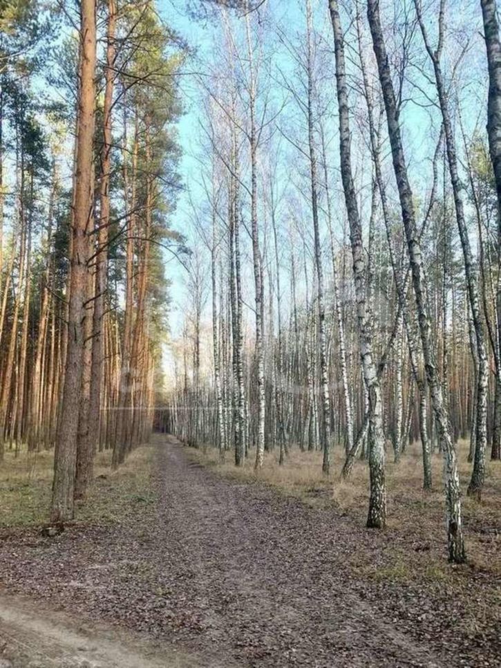 Коттедж/дом СНТ Заря, 51