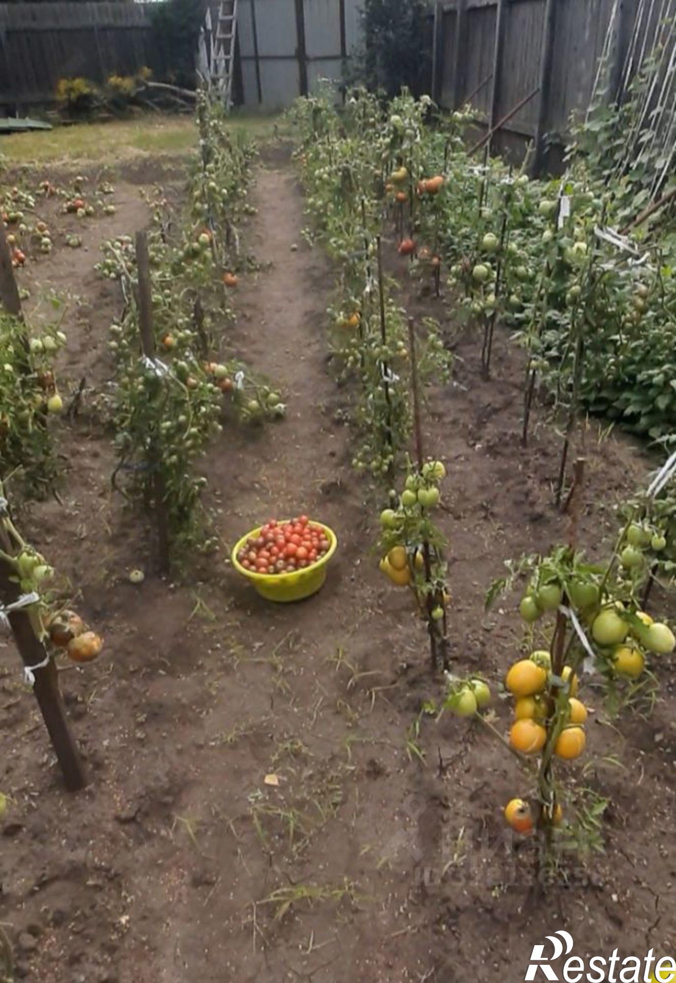 Купить дачу, дом, коттедж за 13 500 000 рублей на Логовая улица, 2