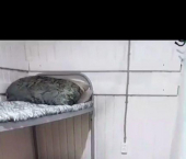 комната 6 кв м Учебный пер, 13а