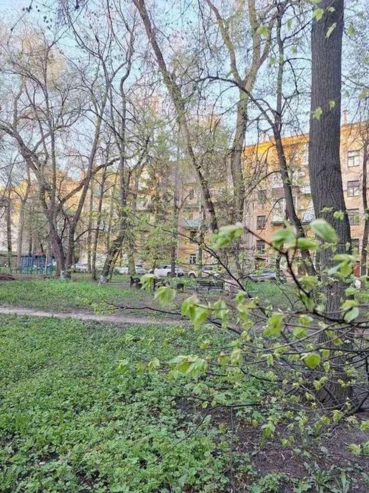 2-комн квартира Мира улица, 3