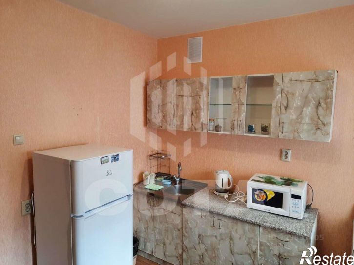 1-комн квартира ул Юлюса Янониса, 9А,  д. 9А