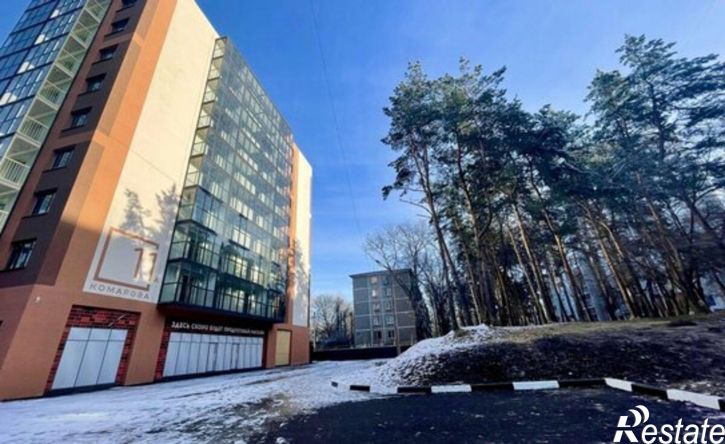2-комн квартира улица Космонавта Комарова, 11А,  д. 11А