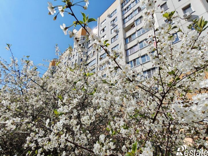 1-комн квартира ул 9 Января, 241/5,  д. 241/5
