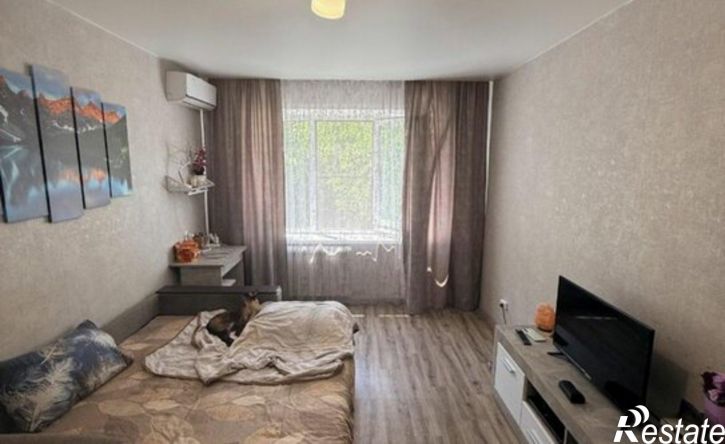 1-комн квартира ул Юлюса Янониса, 24,  д. 24