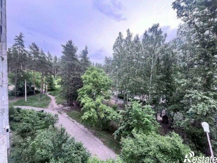 1-комн квартира ул Папова, 10,  д. 10