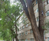 комната 118 кв м ул Беляевой, 4