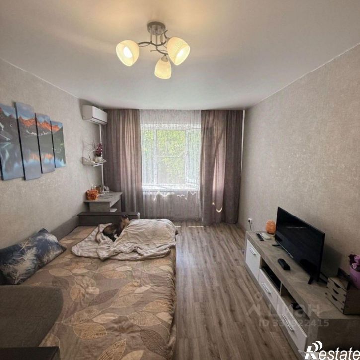 1-комн квартира улица Юлюса Янониса, 24,  д. 24