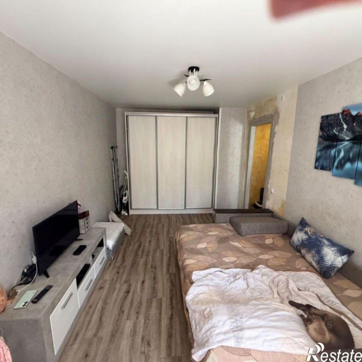 1-комн квартира улица Юлюса Янониса, 24,  д. 24