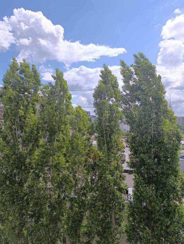 2-комн квартира Коминтерновский