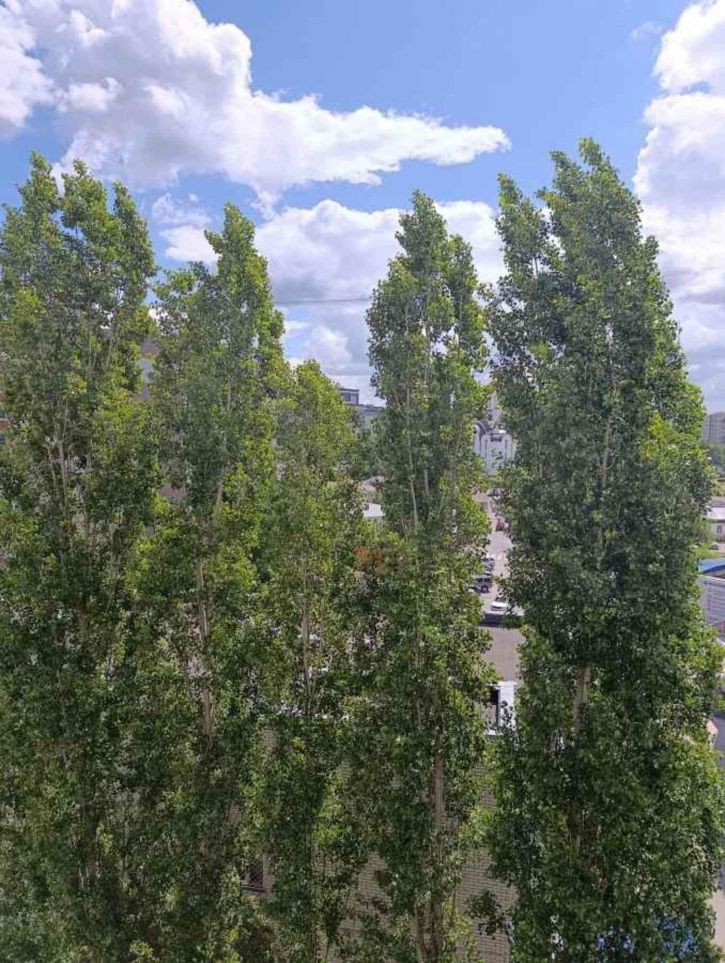 2-комн квартира Коминтерновский