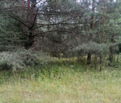земля 8 сот Советский