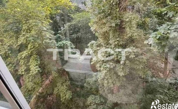 1-комн квартира пр-кт Патриотов, 12,  д. 12