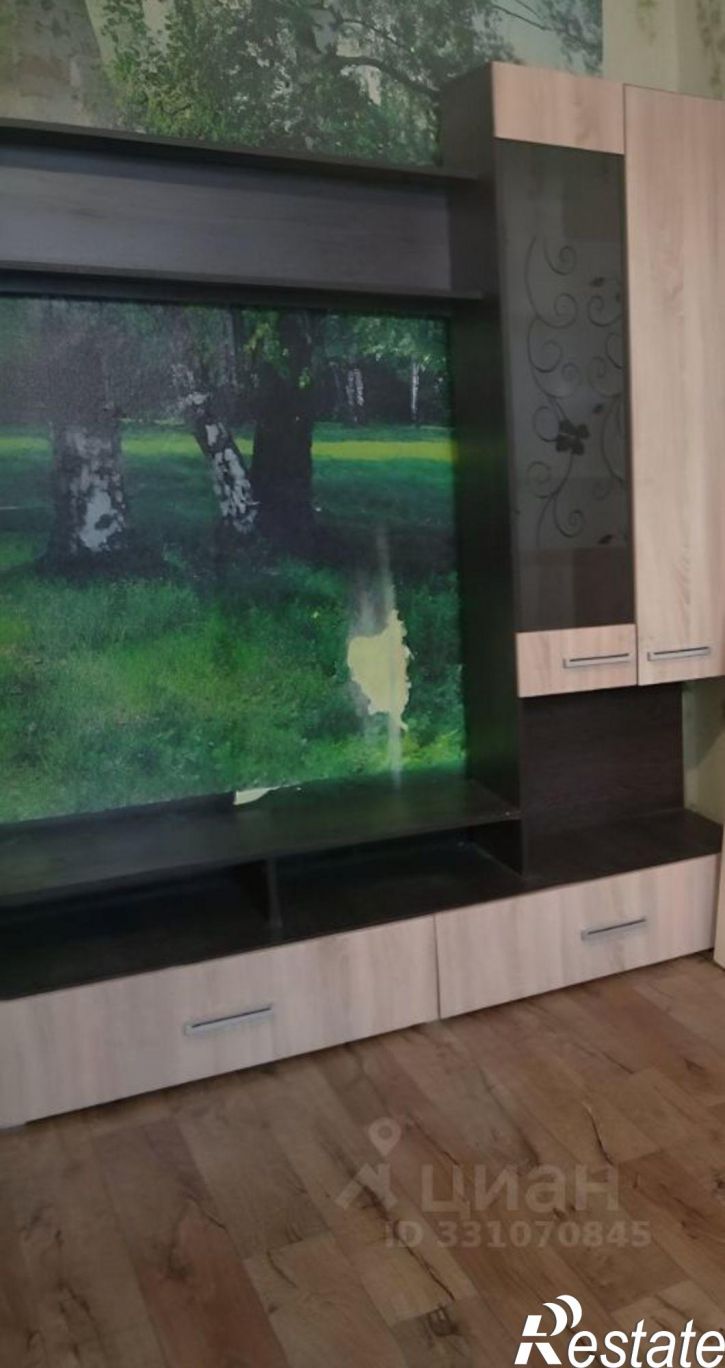 1-комн квартира ул Писарева, 13,  д. 13