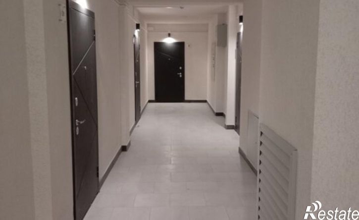 1-комн квартира ул Путилина, 1Т,  д. 1Т