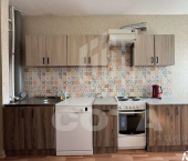 1-комн, 50кв м, этаж 11/16 ул Академика Конопатова, 11
