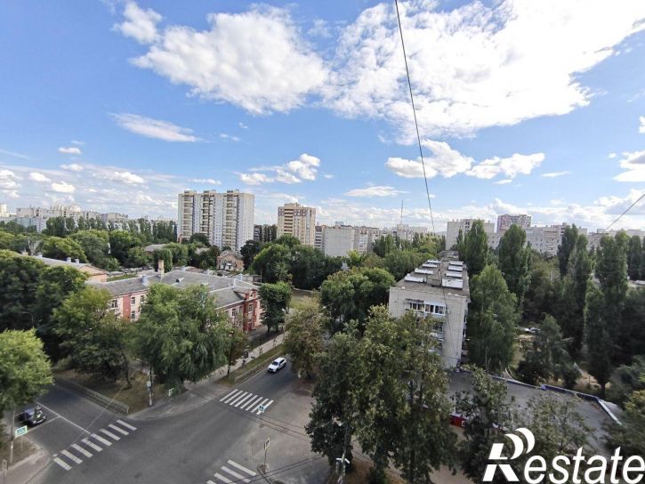 1-комн квартира улица Лидии Рябцевой, 50,  д. 50