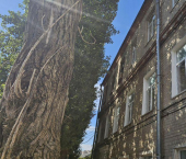 офис 135 кв м Солнечная улица, 13