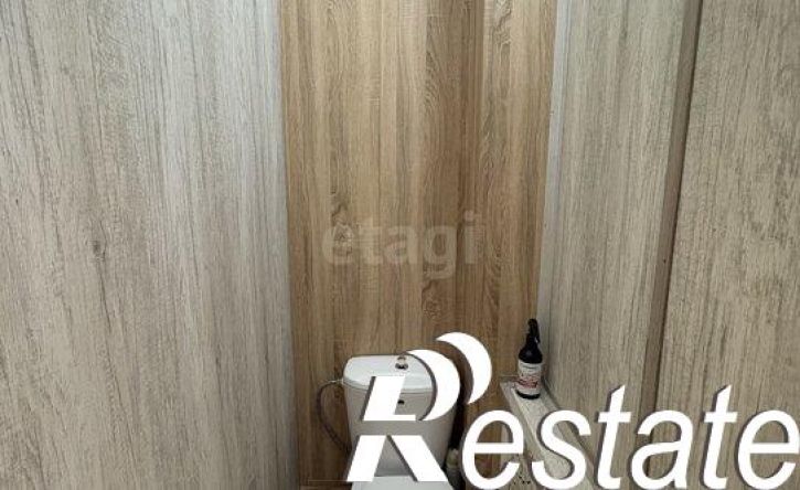 2-комн квартира улица Екатерины Зеленко, 22А,  д. 22А