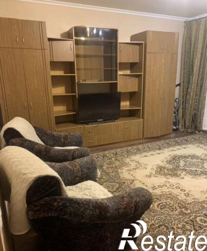 1-комн квартира Владимира Невского ул, 15