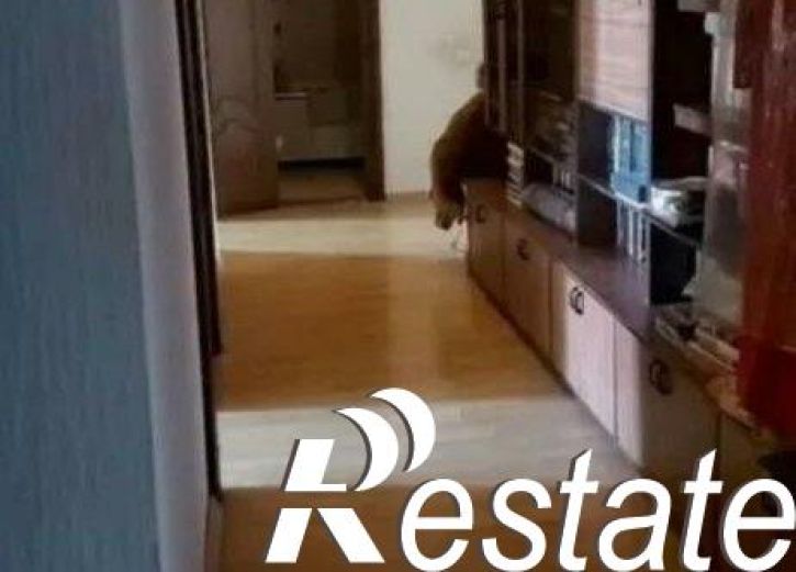 3-комн квартира Ботанический переулок, 47А,  д. 47А